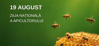 Astăzi este marcată Ziua Națională a Apicultorului