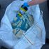 3 loturi de orez din import nimicite sub supravegherea inspectorilor ANSA