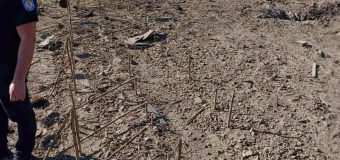 MAI: Au fost înregistrate două incidente provocate de drone în proximitatea frontierei de stat