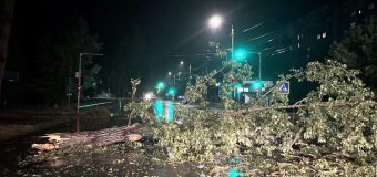 IGSU a intervenit în 10 cazuri pentru lichidarea consecințelor furtunii
