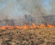 Pompierii au intervenit pentru lichidarea a 41 de focare de vegetație