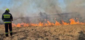 Pompierii au intervenit pentru lichidarea a 41 de focare de vegetație