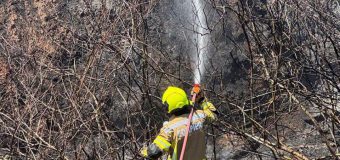 Al doilea contingent al echipei de stingere a incendiilor forestiere al IGSU a efectuat prima misiune în Republica Elenă