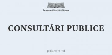 Proiectul de lege pentru modificarea Codului electoral va fi supus consultărilor publice