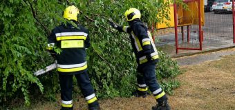 Salvatorii au intervenit în mai multe localități din nordul și centrul țării în urma condițiilor meteorologice nefavorabile