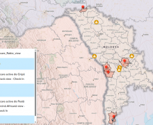 Au fost înregistrate patru cazuri de pestă porcină africană pe teritoriul Republicii Moldova