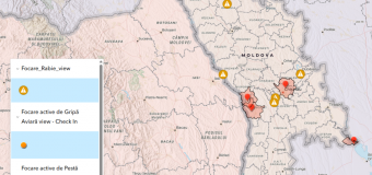 Au fost înregistrate patru cazuri de pestă porcină africană pe teritoriul Republicii Moldova
