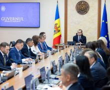 Guvernul susține introducerea licențierii la importul de culturi cerealiere și oleaginoase până la 31 octombrie 2026