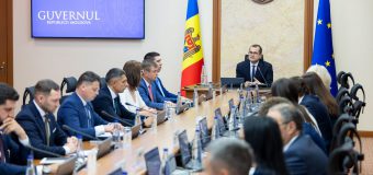 Guvernul susține introducerea licențierii la importul de culturi cerealiere și oleaginoase până la 31 octombrie 2026