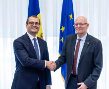 Noi oportunități pentru investiții și cooperare economică, discutate de Vasile Tofan și Ambasadorul Danemarcei
