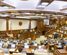 Parlamentul instituie, până la 31 octombrie, un regim provizoriu de licențiere a importului de cereale și oleaginoase