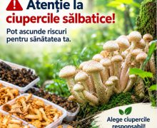 ANSA: Atenție la ciupercile sălbatice în sezonul de recoltare