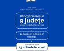 PNM vrea reorganizarea Republicii Moldova în județe