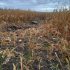 Explozii la Florești și Șoldănești unde au căzut drone