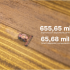 769 de afaceri agricole au fost finanțate prin Programul FCA
