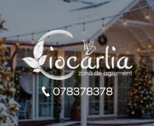 Petrecere Corporate la Complexul Ciocârlia pentru sărbători de iarnă de neuitat!