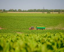 AGOS Green SRL, cel mai mare producător naţional din Moldova, marchează 27 de ani de activitate