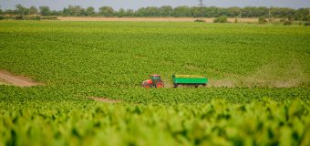 AGOS Green SRL, cel mai mare producător naţional din Moldova, marchează 27 de ani de activitate