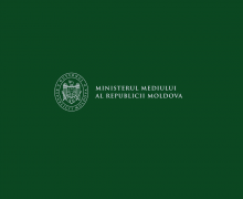 Cazul celor cinci păsări protejate găsite împușcate în raionul Rîșcani este investigat