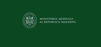Cazul celor cinci păsări protejate găsite împușcate în raionul Rîșcani este investigat