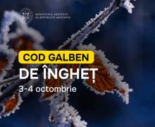 Cod Galben de înghețuri