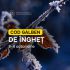 Cod Galben de înghețuri