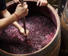 Un bărbat a decedat iar o femeie a suferit intoxicație cu dioxid de carbon în urma fermentării vinului