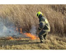 Incendiu de vegetație lichidat la Ocnița