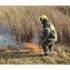 Incendiu de vegetație lichidat la Ocnița